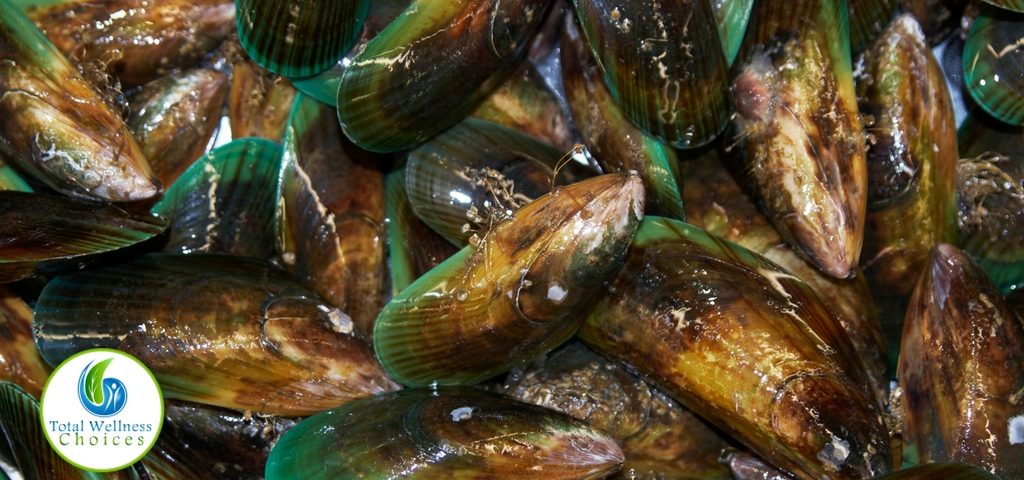 green lipped mussel for arthritis and inflammation