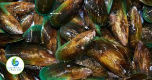 green lipped mussel for arthritis and inflammation