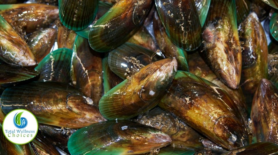 green lipped mussel for arthritis and inflammation