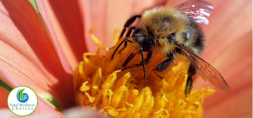 Bee Pollen Benefits Women