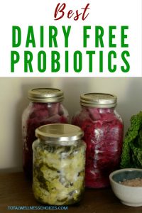 Best Dairy Free Probiotics
