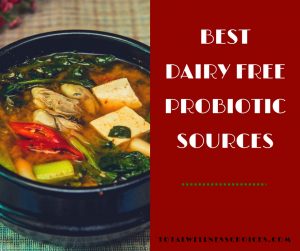 best non dairy probiotic foods