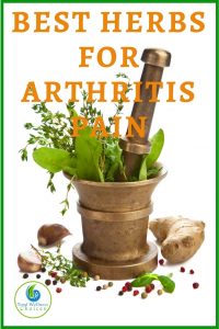 The best herbs for arthritis pain