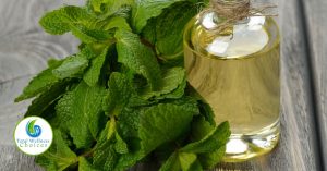 Pure Peppermint Oil Uses