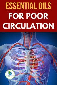 Essential Oils for Poor Circulation