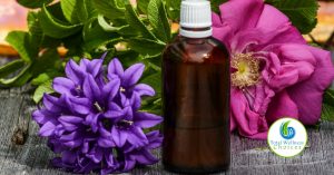 Different Uses of Essential Oils