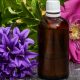 Different Uses of Essential Oils