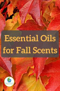 Essential Oils for Fall Scents