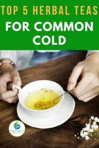 Best Herbal Teas for Common Cold