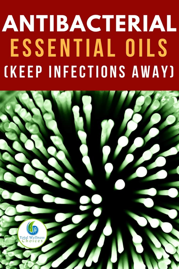 Best Antibacterial Essential Oils