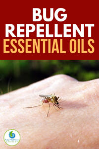 Bug repellent essential oils