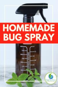 Homemade Bug Repellent Spray