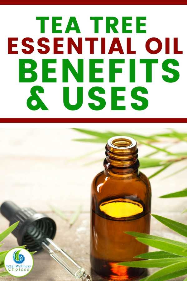 Tea tree essential oil uses and benefits