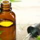 Tea tree oil benefits and uses