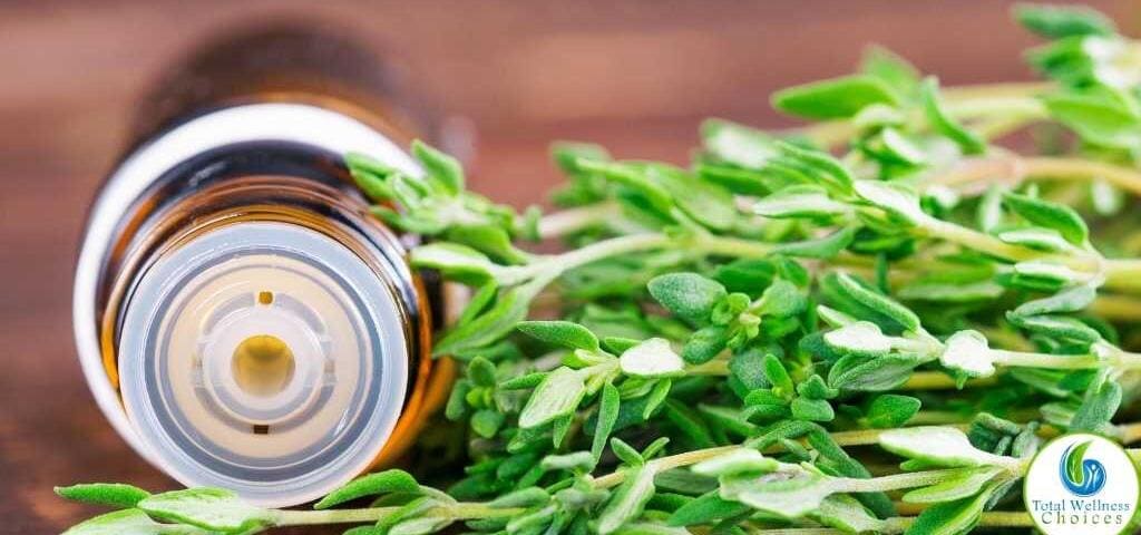 Thyme essential oil uses and benefits