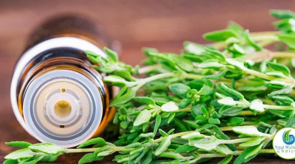 Thyme essential oil uses and benefits